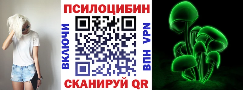 что такое Сясьстрой Галлюциногенные грибы прущие грибы